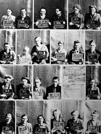 Belsen girls