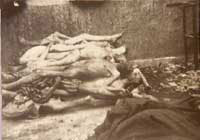 Buchenwald