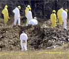 Shanksville