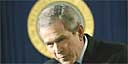 Bush